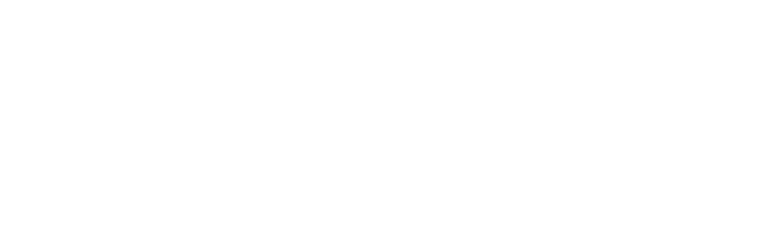Wise Cat Business Services